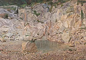 Der Geier im Felsengestein