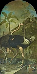 Ein Straußenpaar, im Hintergrund ein Sarkophag by Ignaz Heinitz von Heinzenthal