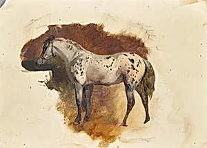 Gefleckter Schimmel