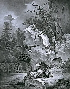 Geier mit totem Hirsch