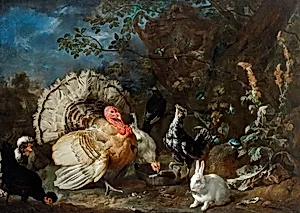 Hausgeflügel und Kaninchen