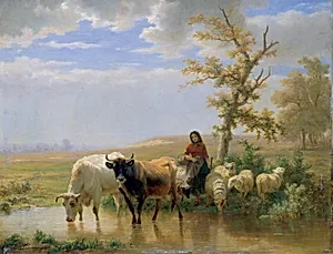 Kühe und Schafe