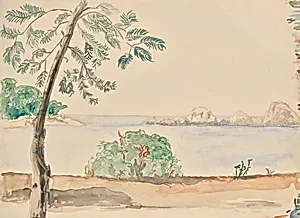 Küste in Florida (?)