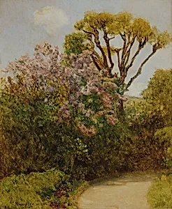 Landschaft