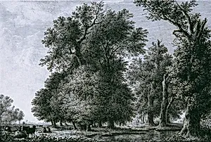 Landschaft mit Eichen