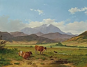 Landschaft mit Schneeberg