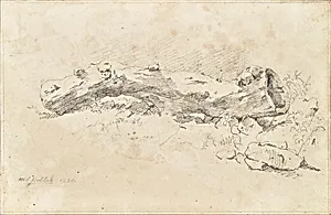 Liegender hohler Baumstamm