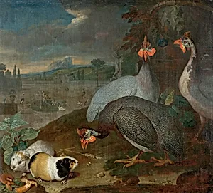 Perlhühner mit Meerschweinchen