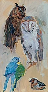 Tierstudie aus Schönbrunn