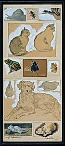 Tierstudien (12 Skizzen) by Josef Wawra