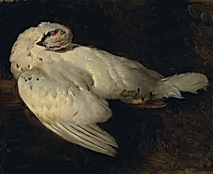 Totes Schneehuhn