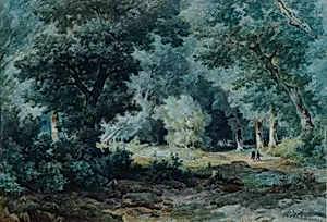 Waldinneres