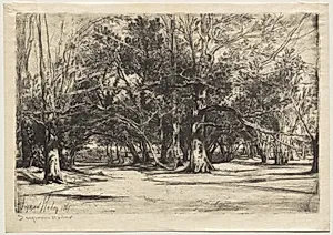 A By-Road in Tipperary by Francis Seymour Haden (British, 1818–1910)