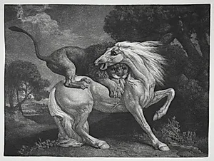 A Horse Attacked by a Lion