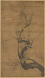 A Prunus in the Moonlight