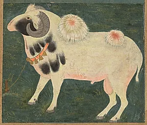 A royal ram with a gold chain by Unknown Artist