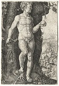 Adam by Jacob Binck (German, 1500–1569)