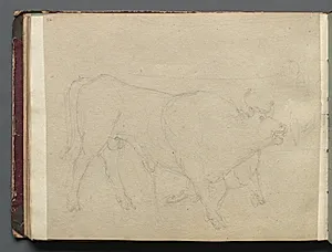Album with Views of Rome and Surroundings, Landscape Studies, page 51b: Study of a Bull