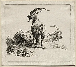 Animalia: Three Goats