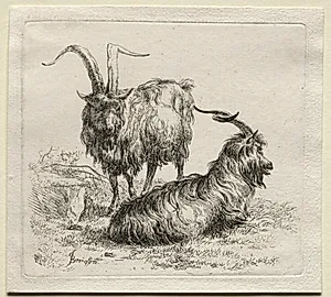 Animalia: Two Goats