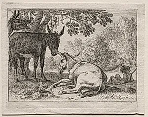 Animals in Landscapes: Donkeys