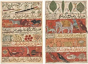 Animals, Precious Stones, Coins, and Musical Instruments (recto); Animals, Birds, and Plants (verso) from a Mu'nis al-Ahrar fi Daqa'iq al-Ash'ar (The Free Men's Companion to the Subtleties of Poems) of Muhammad Ibn Badr al-Din Jajarmi (active 1340s) by Unknown Artist