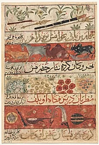 Animals, Precious Stones, Coins, and Musical Instruments (recto) from a Mu'nis al-Ahrar fi Daqa'iq al-Ash'ar (The Free Men's Companion to the Subtleties of Poems) of Muhammad Ibn Badr al-Din Jajarmi (active 1340s) by Unknown Artist