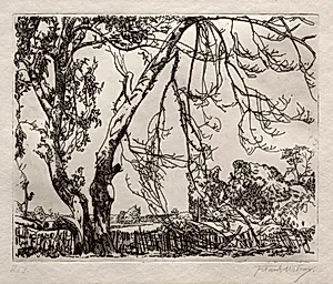 Apple Tree