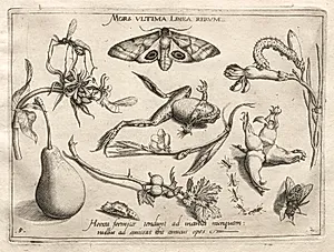 Archetypes and Studies: Death is the line that marks the end of all (Part II, plate 5)