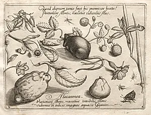 Archetypes and Studies: What can emerge in keeping with such a cavernous promise? (Part IV, plate 2)