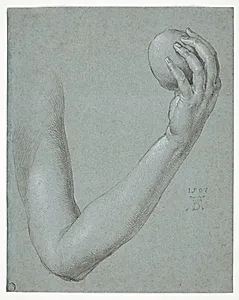 Arm of Eve by Albrecht Dürer (German, 1471–1528)