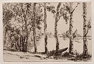 Aspens on the Bank of the Seine by Félix Bracquemond (French, 1833–1914)