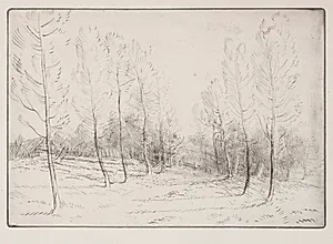 Avenue of Poplars by Alphonse Legros (French, 1837–1911)
