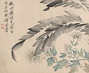 Banana Plant and Chrysanthemum