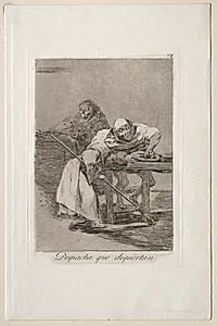 Be Quick, They are Waking Up, Plate 78 by Francisco de Goya (Spanish, 1746–1828)