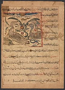 "Benefits of the Parts of Vultures" (From the Manafi' al-Haywan of Abu Sai'd Ubayd-Allay Ibn Bakhtishu) (verso) by Unknown Artist