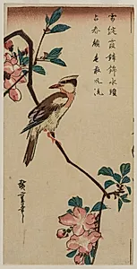 Black-Naped Oriole (Korean Warbler) on a Hall Crabapple by Utagawa Hiroshige (Japanese, 1797–1858)