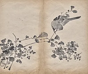 Blossoms by Unknown Artist