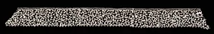 Bobbin Lace (Bride Ground) Border by Unknown Artist