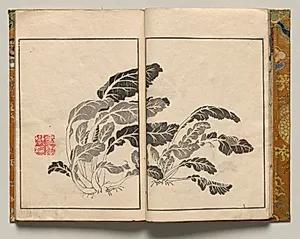 Bok Choy, Design Four from Shazanrō Picture Book