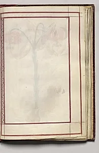Border, folio 32 (recto), from Florilegium (A Book of Flower Studies) by Unknown Artist