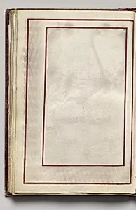 Border, folio 42 (verso), from Florilegium (A Book of Flower Studies) by Unknown Artist