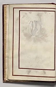 Border, folio 6 (verso), from Florilegium (A Book of Flower Studies) by Unknown Artist