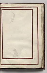Border, folio 9 (recto), from Florilegium (A Book of Flower Studies) by Unknown Artist