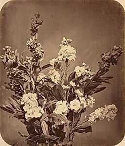 Bouquet by Adolphe Braun (French, 1812–1877)