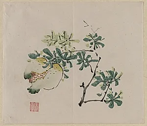 Branch with Pomegranate by Unknown Artist