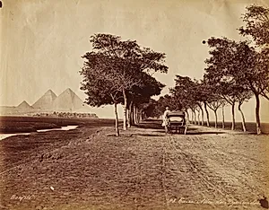 Caire. Allée de Pyramides by Félix Bonfils (French, 1831–1885)