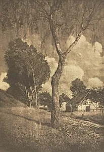 Camera Work: Pomeranian Motif by Hugo Henneberg (Austrian, 1863–1918)