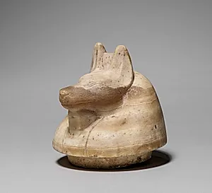 Canopic Jar with Jackal's Head (lid) by Unknown Artist