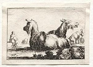 Caprices:  Two Goats by Stefano Della Bella (Italian, 1610–1664)